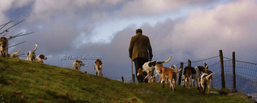 Lakeland Hunting photography by Betty Fold Gallery